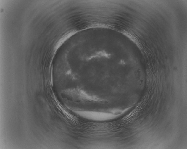 X0000057101127200509301610