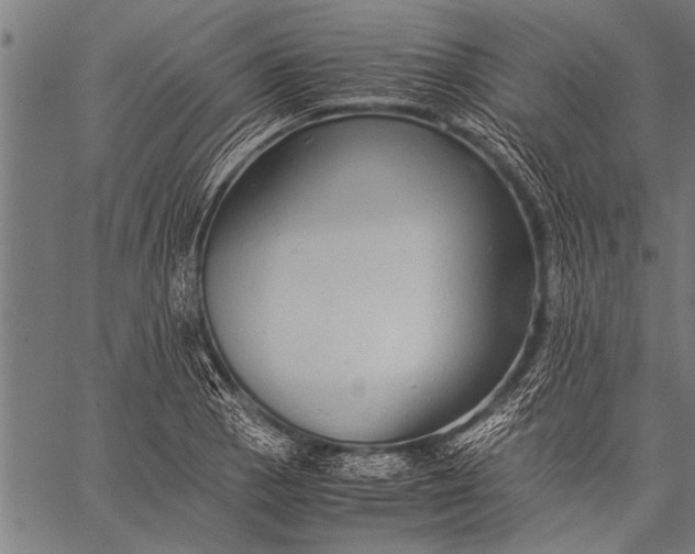 X0000057101129200509301610