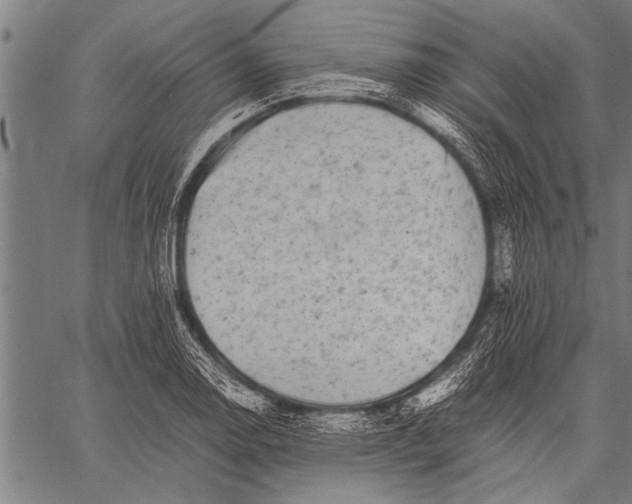 X0000057101130200509301610