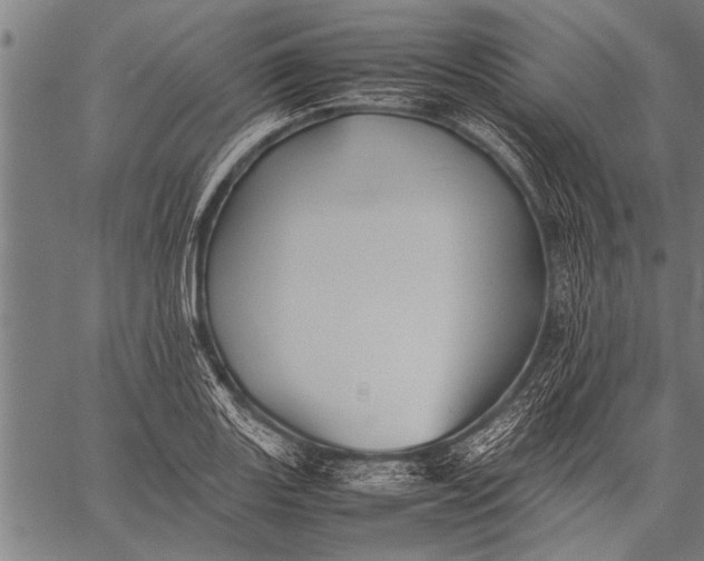 X0000057101131200509301610