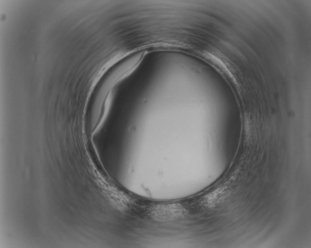 X0000057101133200509301610