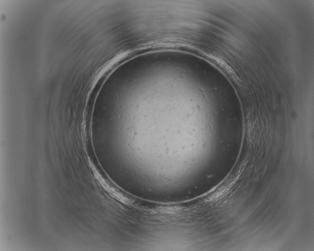 X0000057101134200509301610