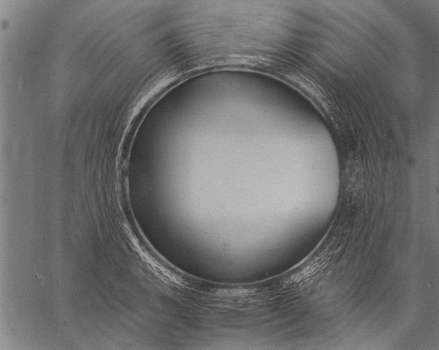 X0000057101135200509301610