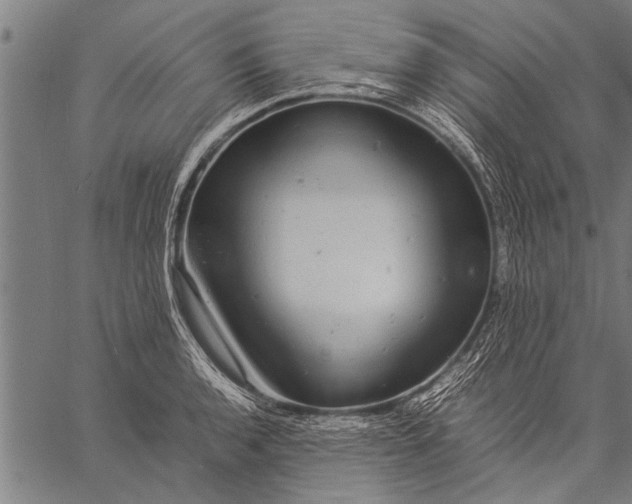 X0000057101136200509301610