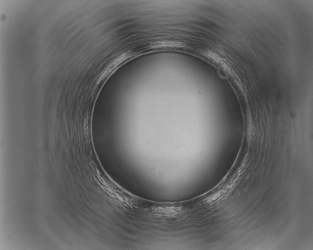 X0000057101137200509301610