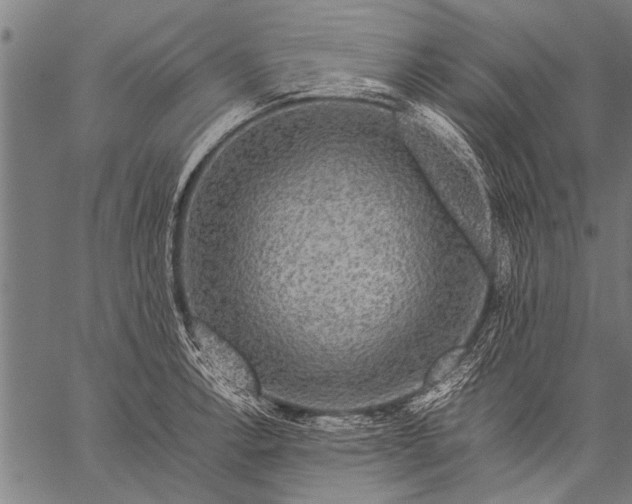 X0000057101138200509301610