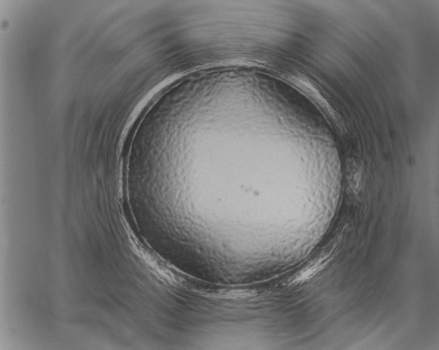 X0000057101140200509301610