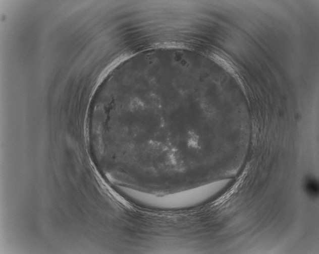 X0000057101141200509301610