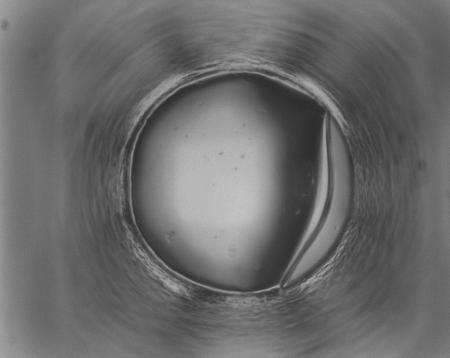 X0000057101142200509301610