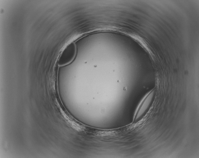 X0000057101143200509301610