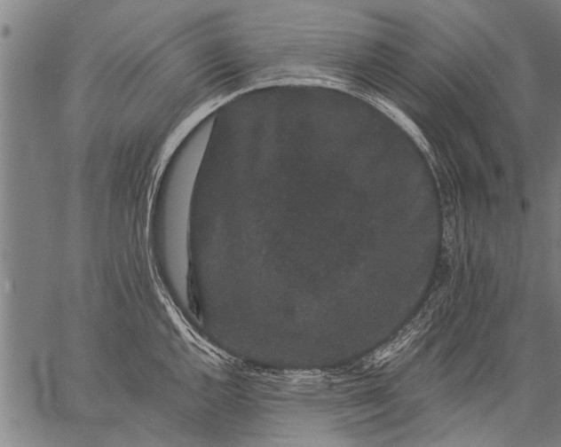 X0000057101144200509301610