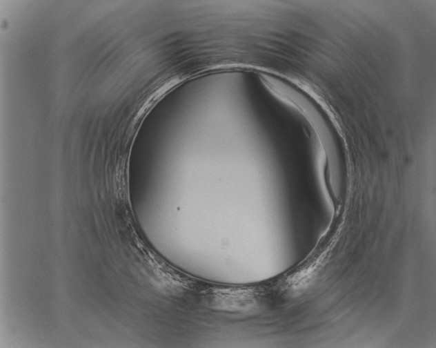 X0000057101145200509301610