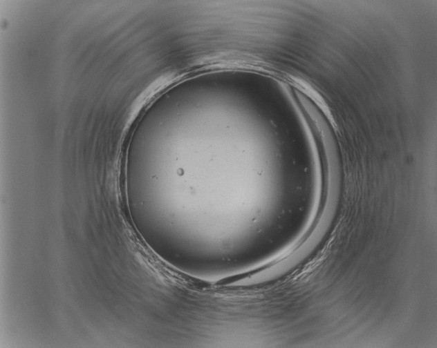 X0000057101146200509301610