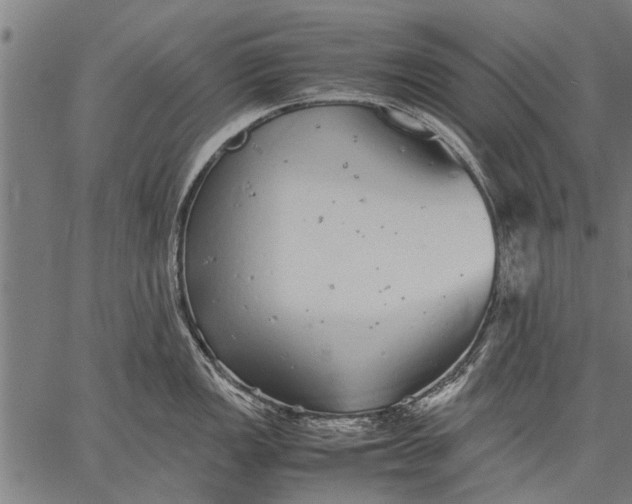 X0000057101149200509301610