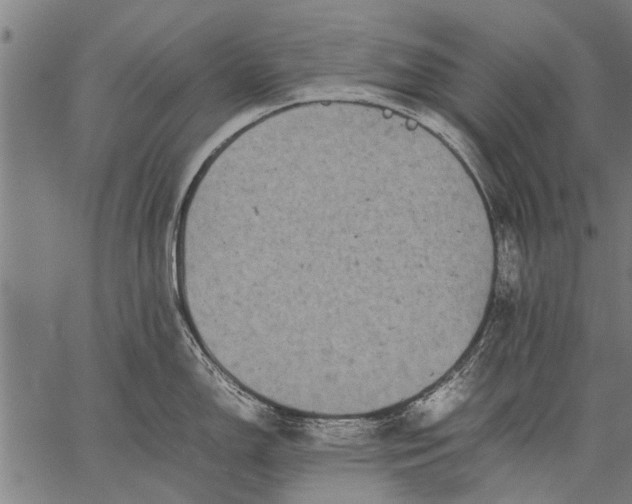 X0000057101150200509301610