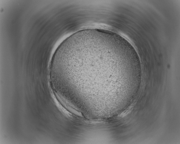 X0000057101152200509301610