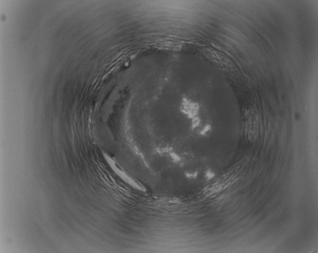 X0000057101154200509301609