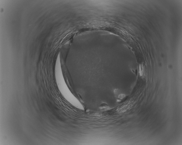 X0000057101155200509301609