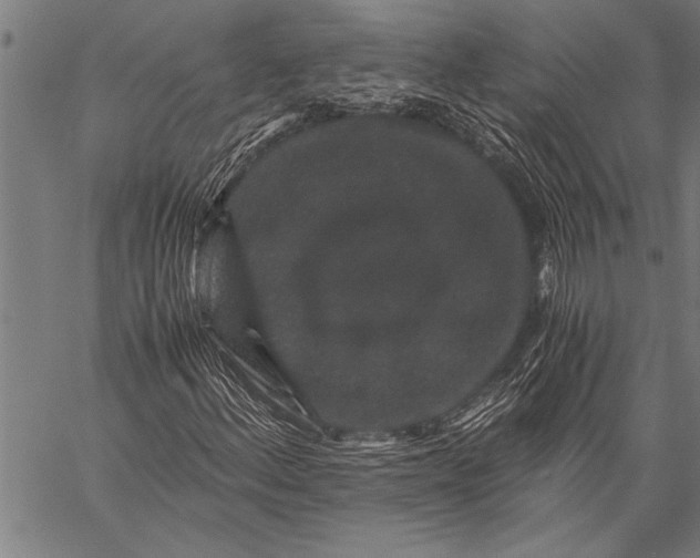 X0000057101156200509301609