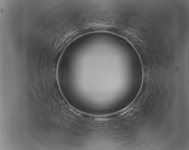 X0000057101157200509301609