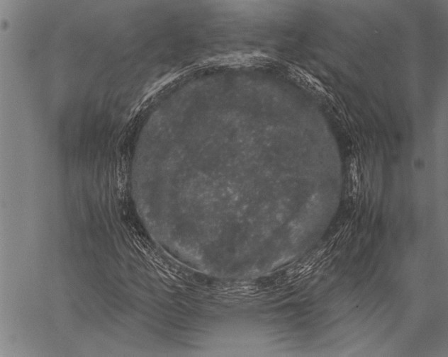 X0000057101158200509301609