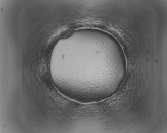 X0000057101159200509301609