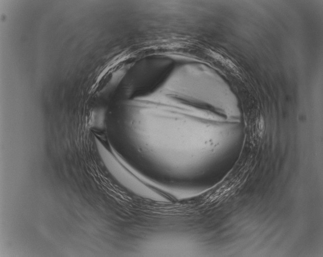 X0000057101160200509301609