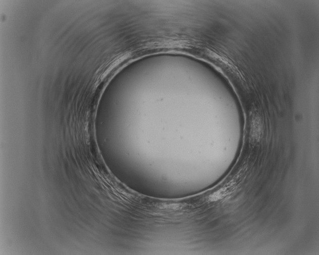 X0000057101162200509301609