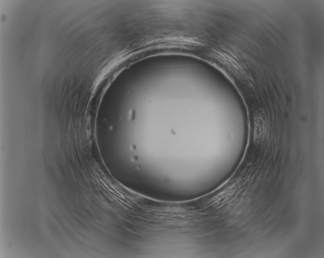 X0000057101164200509301609