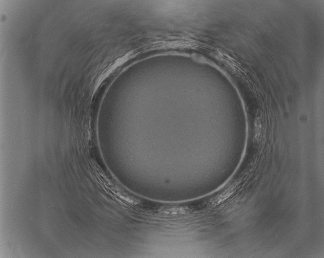 X0000057101165200509301609