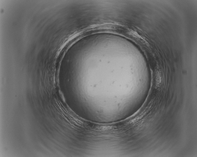 X0000057101166200509301609