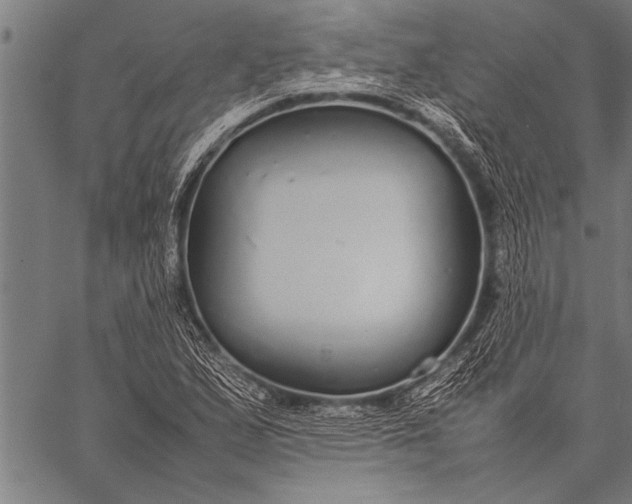 X0000057101167200509301609