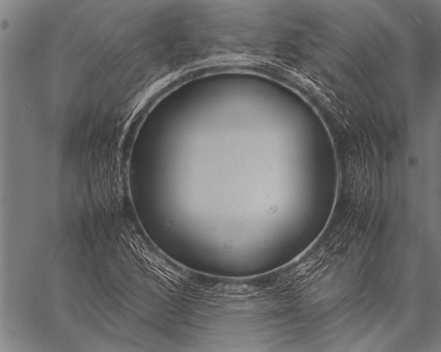 X0000057101168200509301609