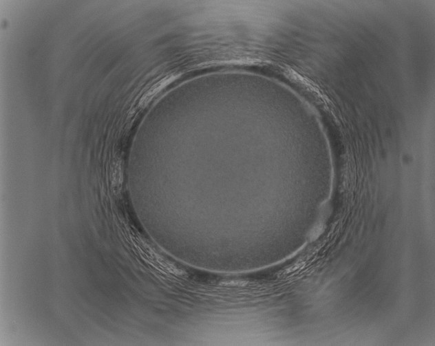 X0000057101169200509301609