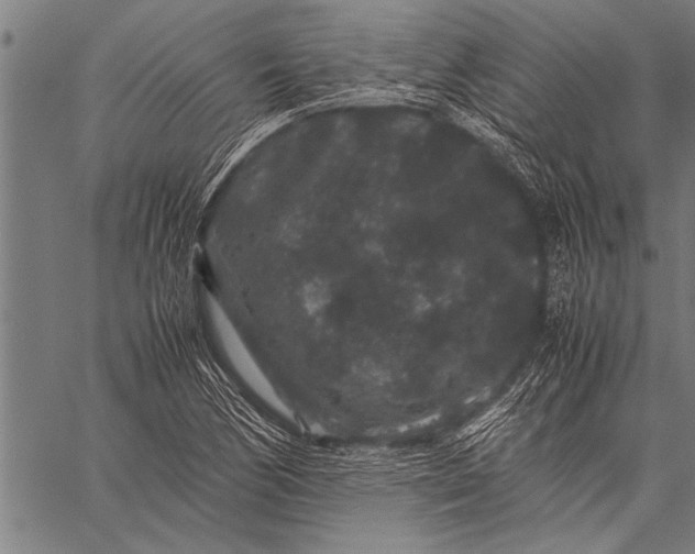 X0000057101170200509301609