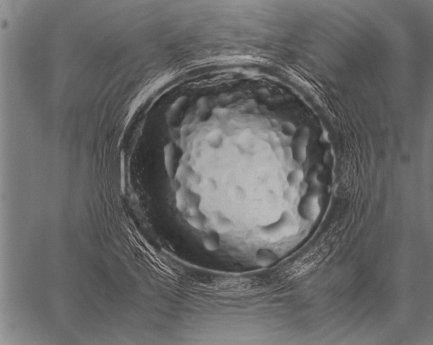 X0000057101171200509301609