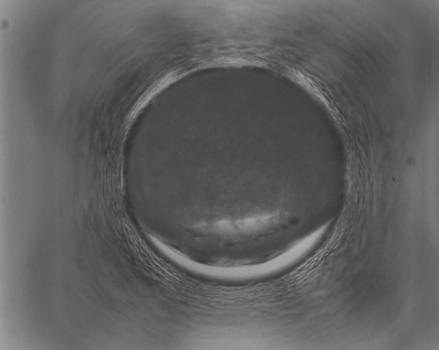 X0000057101173200509301609