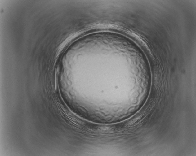 X0000057101175200509301609