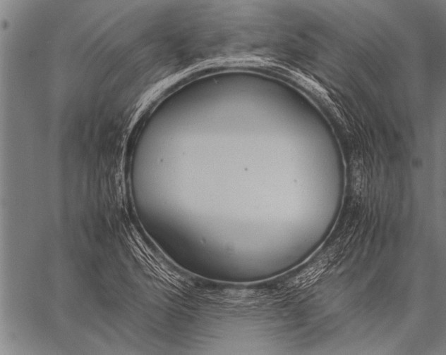 X0000057101176200509301609