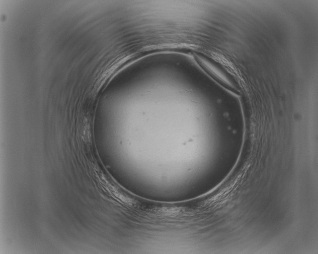 X0000057101177200509301609