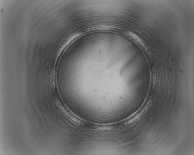 X0000057101178200509301609