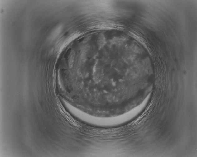 X0000057101179200509301609