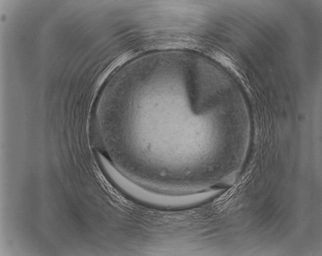 X0000057101181200509301609