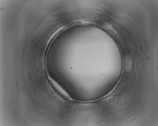 X0000057101182200509301609