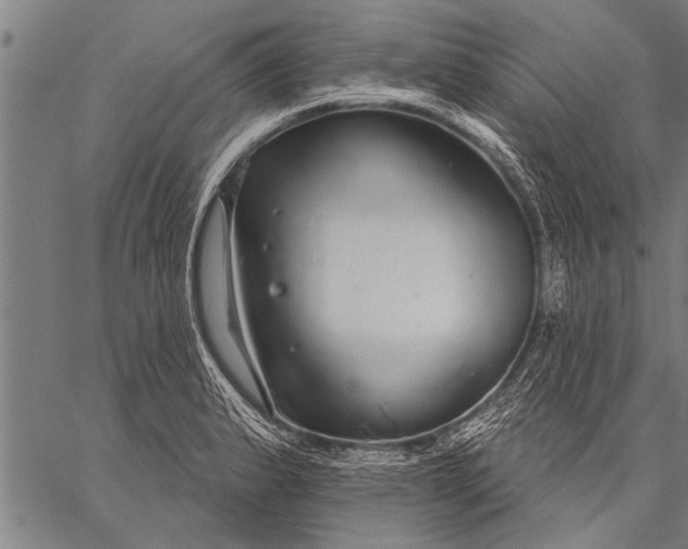 X0000057101183200509301609