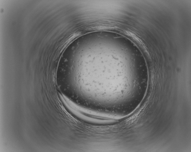 X0000057101185200509301609