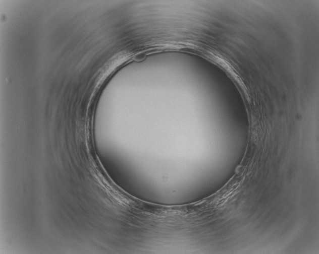 X0000057101187200509301609