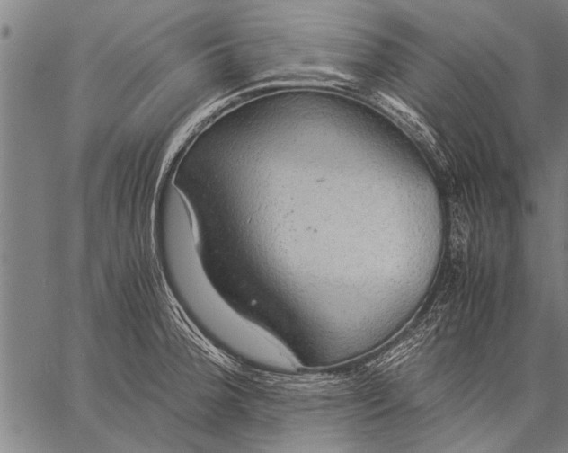 X0000057101188200509301609