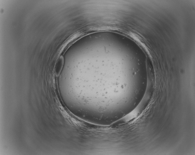 X0000057101189200509301609