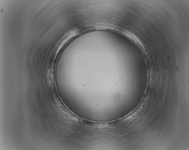 X0000057101190200509301609